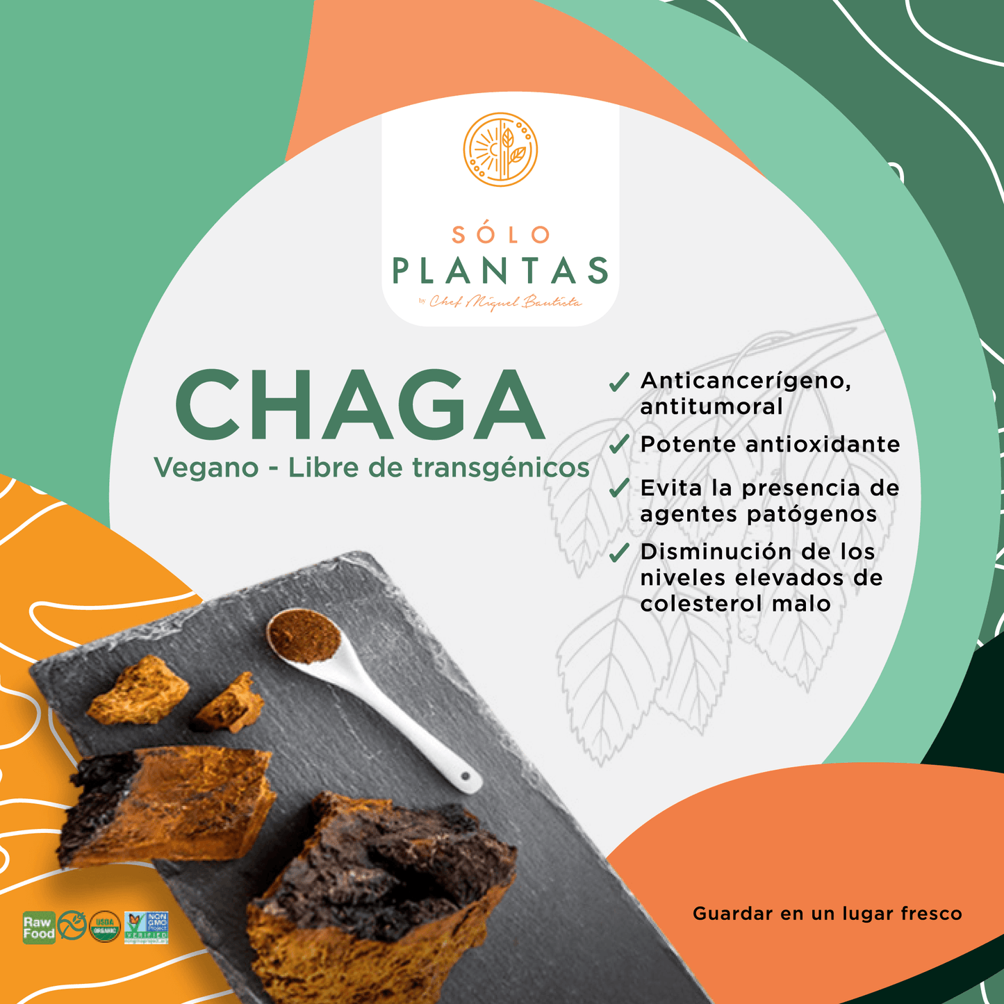 Hongo Chaga en Polvo