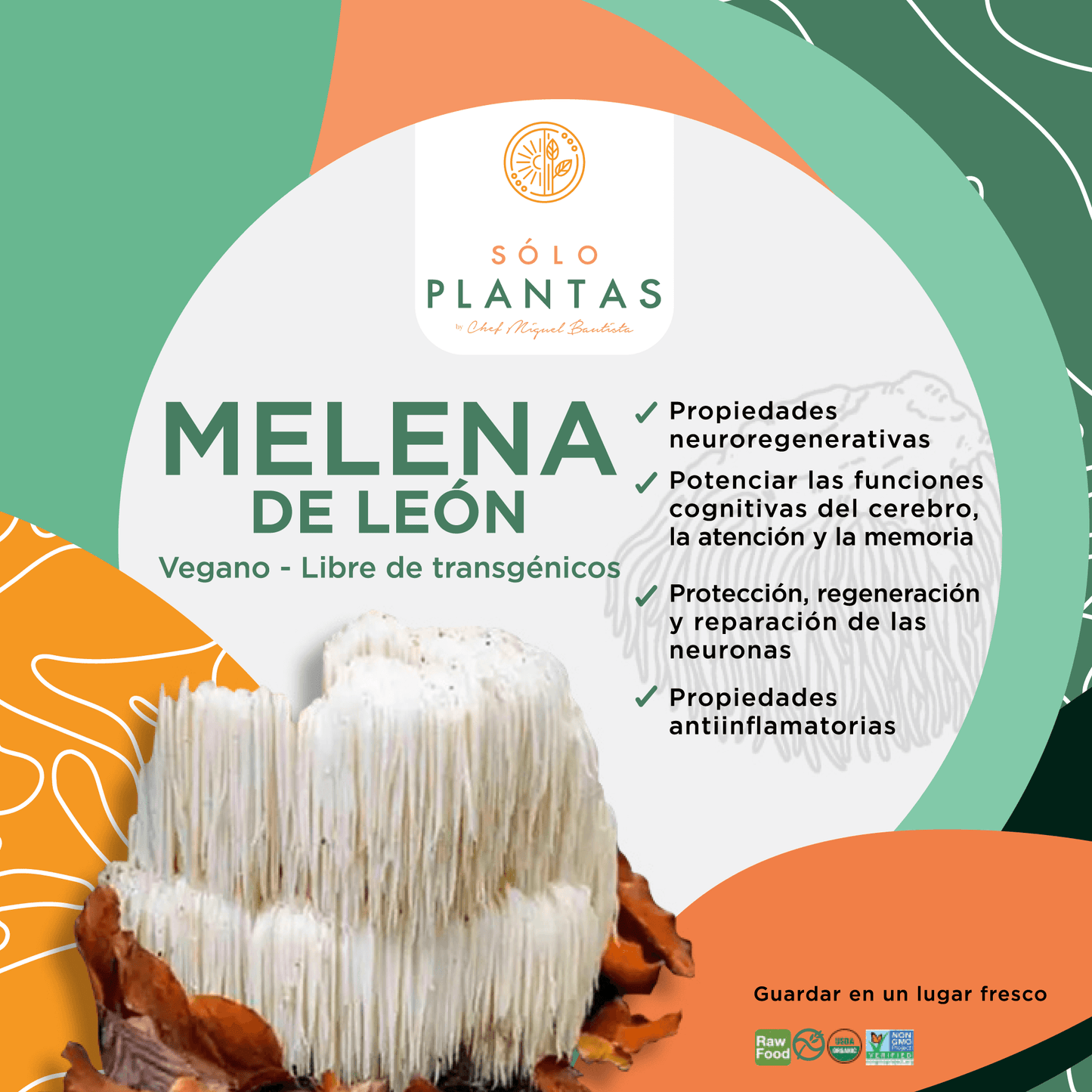 Hongo Melena de León en Polvo